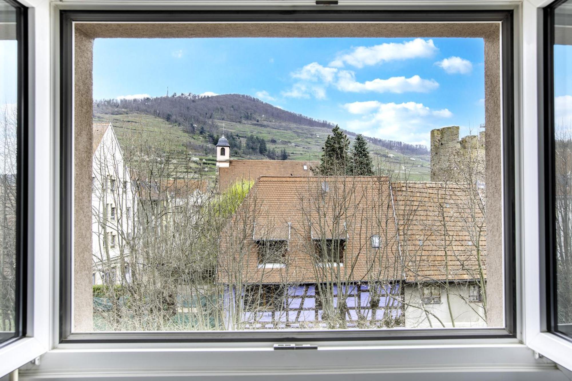 Choupette De La Vallee Avec Garage Kaysersberg-Vignoble Exterior foto